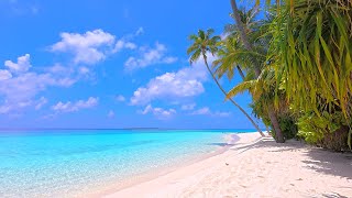 Ocean 4K UHD 🏝 Relax on a Luxury Island in Maldives