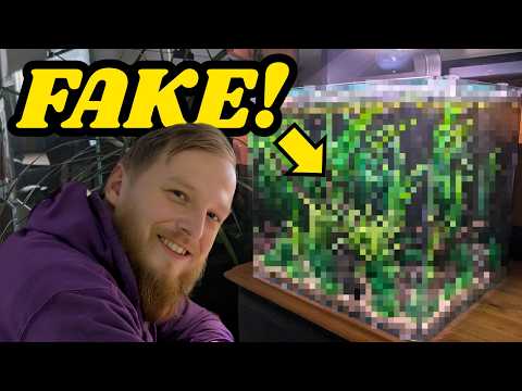 Creating an easy to maintain 'planted' aquascape (no trimming required)