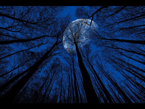 Beautiful relaxing piano nature music-Sleep music, stress relief music, study music, healing music.