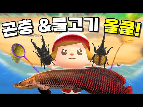 Animal Crossing: All Insects, Fish All Clear!