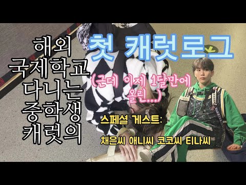 [세븐틴/캐럿] 국제학교 다니는 중딩 캐럿의 캐럿로그💎(feat.대갈이 박기)