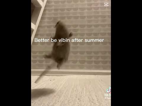 Summer is the hero