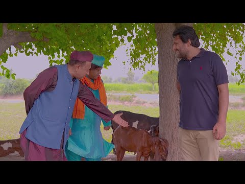 Rana Ijaz New Funny Video | Standup Comedy By Rana Ijaz | Rana Ijaz Father Hakeem😆#comedy #ranaijaz