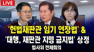 [🔴LIVE 법사위 0331]  '헌법재판관 임기 연장법' 법률안 & '대통령 권한대행, 헌법재판관 임명 금지법' 상정  l 법제사법위원회