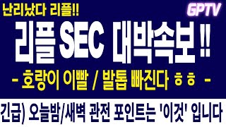 [진짜 리플 엑스알피 전망] 💥 SEC 대박속보!!  🚨리플 난리났습니다.  !!! 긴급) 오늘밤/새벽 관전 포인트는 이곳 입니다.