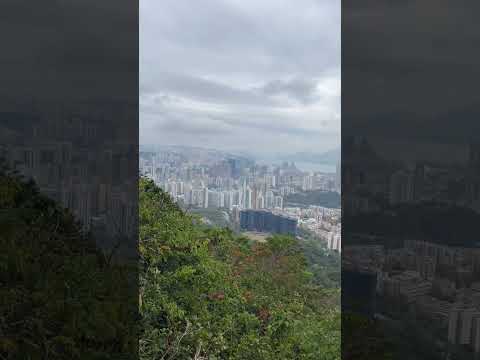 Between Lion Rock and Beacon Hill! 🗻Check out the vlog on my channel! 💕https://youtu.be/GIN2cn6k5yw