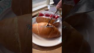 대전 당일치기 빵지순례 5곳😋