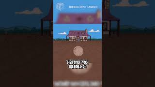 스트라이크 코인 전망, 구 스펜드코인 현 STRK 코인 리브랜딩