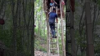 The Tree-Dwelling Kemu Tribe