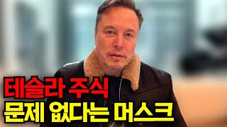 테슬라 주식 문제 없다는 머스크