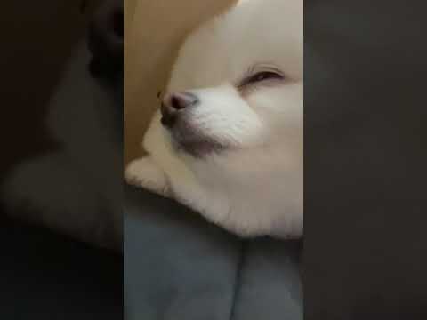 눈나 집에 좀 가자..
