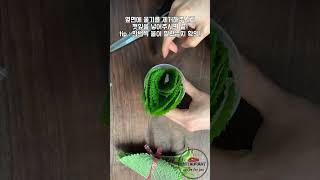 대박!! 깻잎이 시들지 않아!! 오래 보관하는 방법 #shorts
