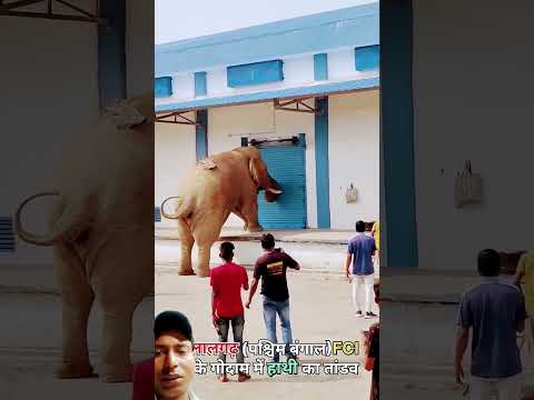 #funny #news #youtubeshorts #trending #dineshmediawork #comedyfilms #duet #comedymovies #latestnews