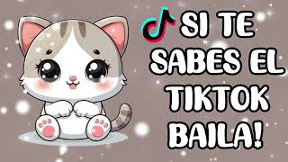 SITE SABES EL TIKTOK BAILA! (2025)