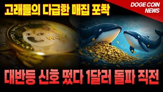 [도지코인 전망] 고래들의 다급한 매집 포착 도지 대반등 신호 떴다 1달러 돌파직전