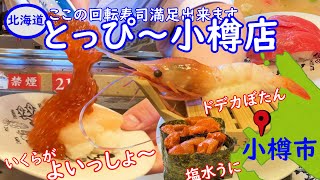 小樽にある回転寿司とっぴ～が旨い。いくらのぶっかけ・特大ボタンエビ・塩水すに・活気よし・接客よしで満足まちがいなし