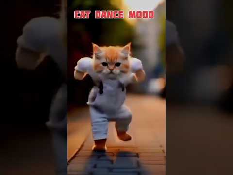 #catvideo #funnyshorts 🤣🤣#viral video#trendingshorts ##yutubeshorts video#🤓🤓