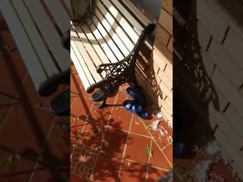 West Sydney hail
