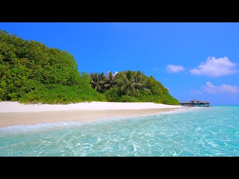 Tropical Bliss: Maldives & Ocean Waves. Ocean sounds for relaxation and sleep