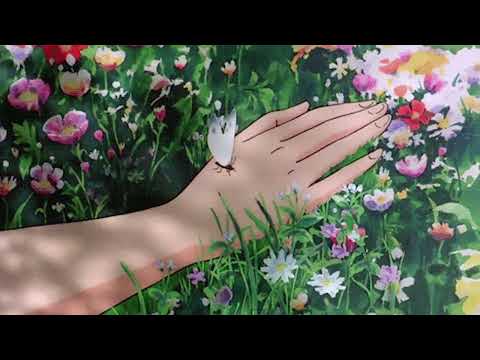 Seasons (Chillwave - Lo-Fi - Electronic Mix)