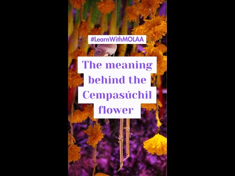 #LearnWithMOLAA featuring: The Cempasúchil Flower