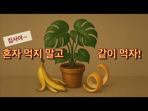 오늘부터 버리지 마세요. 정말 간단한 천연비료 만들기