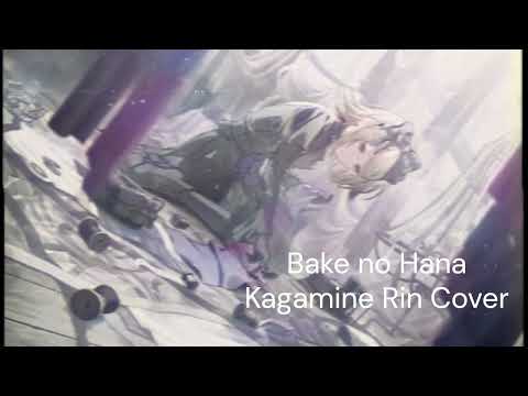 Bake no Hana/化けの花 - Kagamine Rin cover