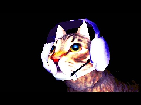 have you seen my cat?