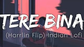 Tere Bina [lofi lyrics] text audio