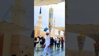 MADINA PAK #beautyfullkashmir #nature #shortvideo #plzsubscribemychannel #viralvideo