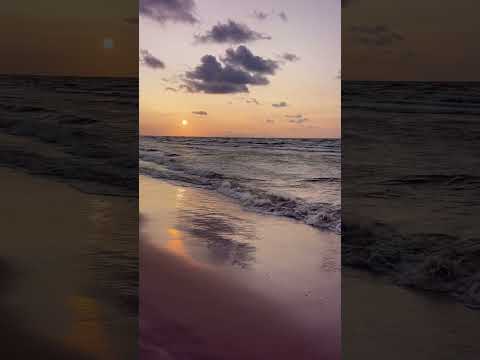 Relaxation Music ☀️[Sunset Waves] 🌊 Chill Beats