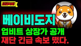 [베이비도지 코인] 업비트 상장가 공개!! 재단에서 발표한 업비트 상장 소식!! #베이비도지 #베이비도지전망 #베이비도지호재