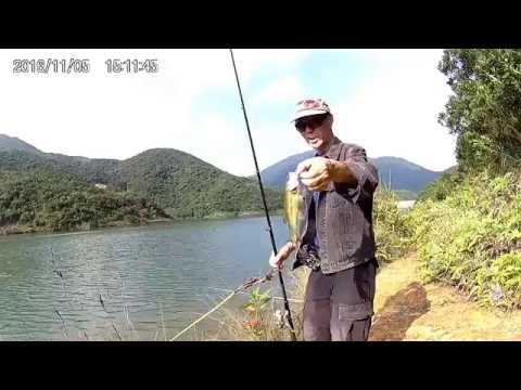 Tai Tam Bass Fishing 2016.11.05