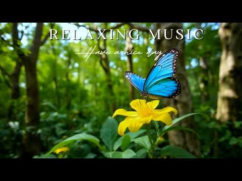 ✨ Heal Your Spirit 🦋 Ladybug Songs Gentle Piano | Oxy Music