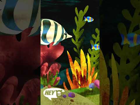 Hey Bear Sensory Aquarium #relax #underthesea #calm