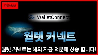[월렛커넥트] 월렛커넥트는 해외자금 때문에 급등합니다!
