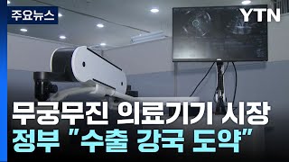 "반도체 맞먹는 시장"...유망 의료기기 10대 성과 보고 / YTN
