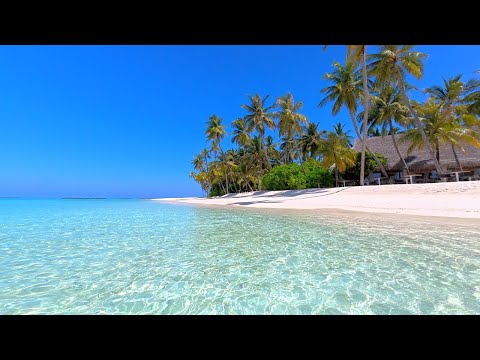 Turquoise Waves 🏝 Best Ocean Sounds for Rest, Relaxation and Sleep