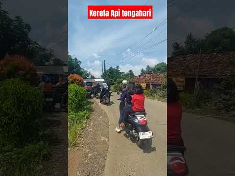 kereta api melintas di tengahari