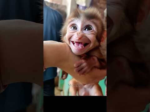 Come here baby monkey smile😚