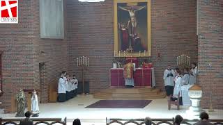 Pentecost - Traditional Latin Mass #latinmass #catholic #dailymasstoday #tlm