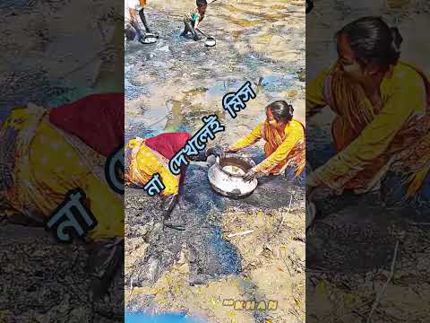 হস্তী পানিতে নয়! #shots #tintuc #funny