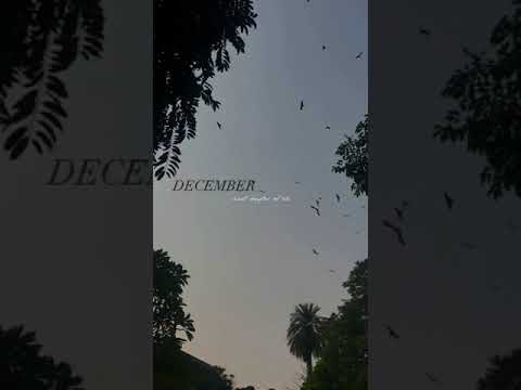 December #status #shorts #youtube #2023