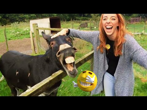 New Funny Animals 😂 Funniest Cats and Dogs Videos 😺🐶 2024 part4