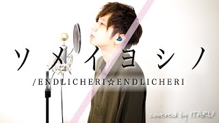 ソメイヨシノ / ENDLICHERI☆ENDLICHERI by イノイタル (ITARU INO) 歌詞付きFULL