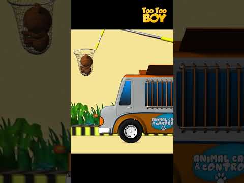 Bear With Me Shorts | Cartoon Animation | Kids Shows  #animation #cartoon #youtubeshorts