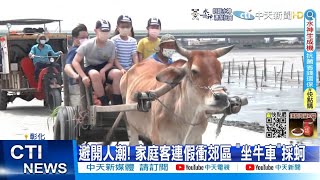 【每日必看】避開人潮! 家庭客連假衝郊區 "坐牛車"採蚵 @中天新聞CtiNews  @毛球烏托邦MaoUtopia  20220605