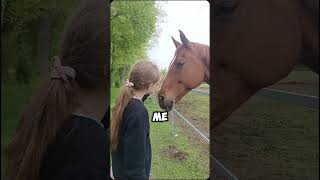 You💫 #horse #synthmagic #equestrian #synthriders #synthfam #music #wintersynth #horseriding #riding