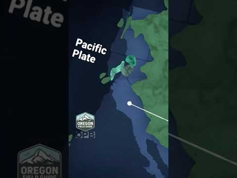 Oregon’s Ancient Origins: It Started in Mexico?! 🌋🗺️ #OregonFieldGuide