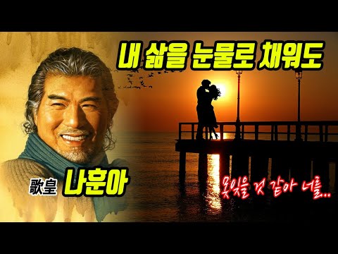 내 삶을 눈물로 채워도 - 나훈아